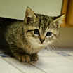 First Canon Shots (85 of 87)-20.jpg