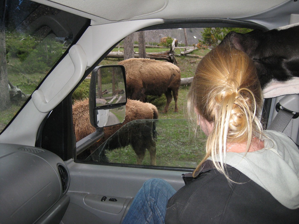 [RuedeBuhr%2520Road%2520Rage%2520Day%252019%2520191%255B4%255D.jpg]