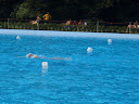 P7050851.JPG