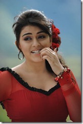 hansika motwani image