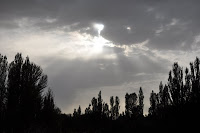 DSC_0145.JPG Photo