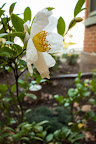 20121110-_DSC0066.jpg