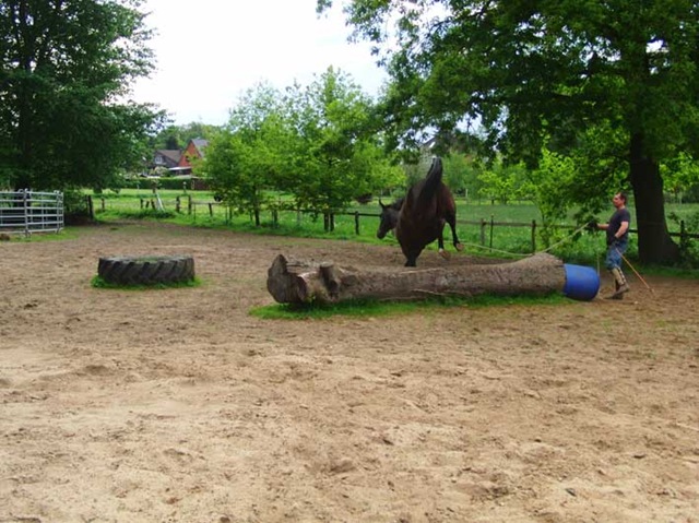 [CIMG7929%255B1%255D.jpg]