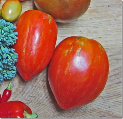 Striped Roman tomatoes