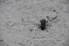 DSC_2300.JPG