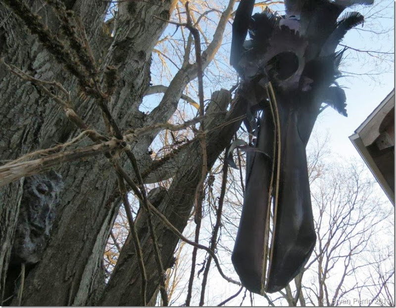 Raven head on tree, Cerridwen Mullien delta T
