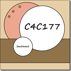 C4C177-Sketch C4C177-Sketch