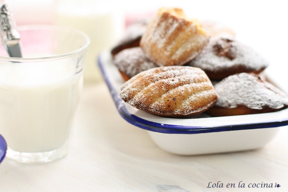 [madeleines-datil-2%255B12%255D.jpg]