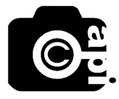 API copyright black API copyright black
