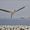 DSC_7194.jpg