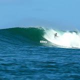BestSurf2