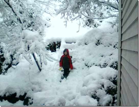 snow8