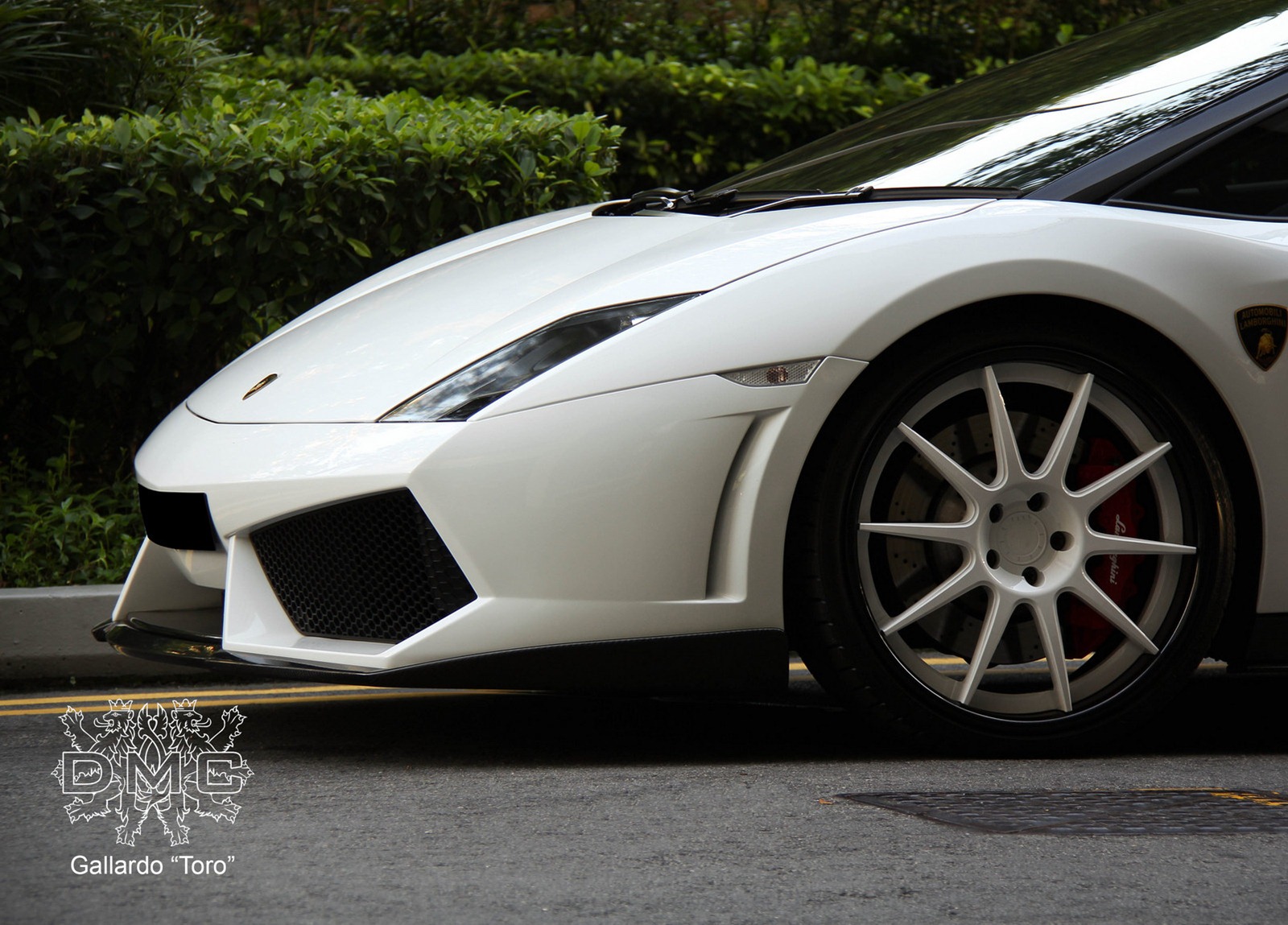 [DMC-Toro-Gallardo-4_1%255B2%255D.jpg]