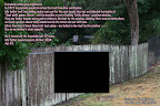 goodneighbours77.jpg