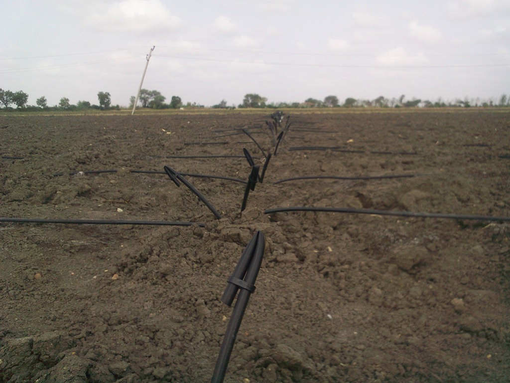 [End%2520stop%25208%2520shaped%255B5%255D.jpg]