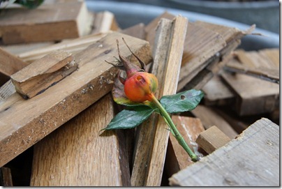 herfst1