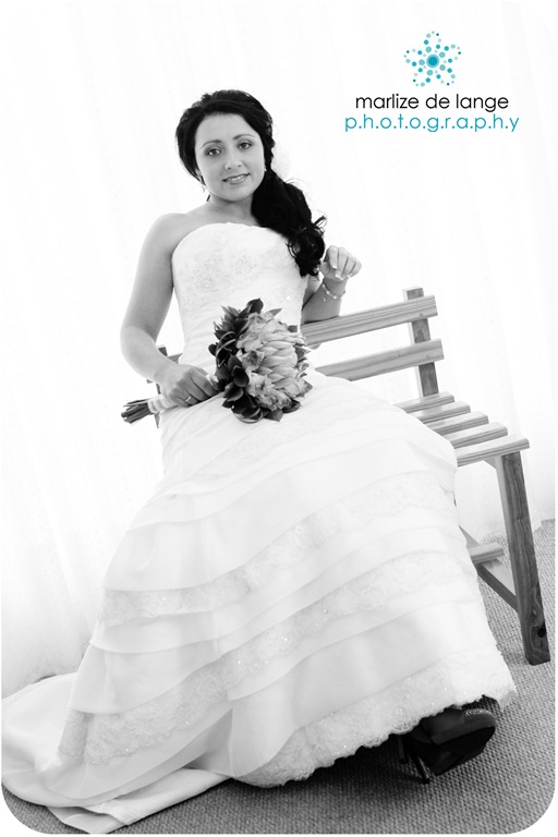 [IMG_9536%2520a%255B5%255D.jpg]