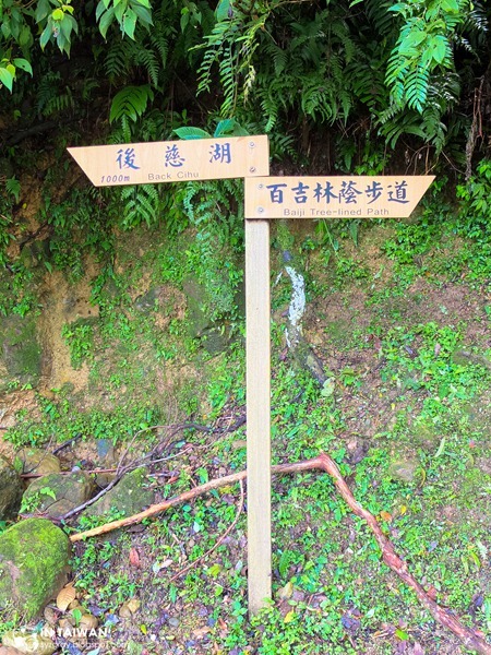 DSCF3487 DSCF3487