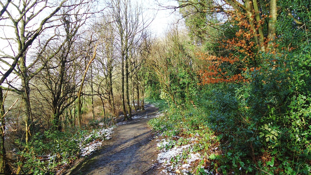 [Muddy%2520path%2520through%2520the%2520trees%255B6%255D.jpg]