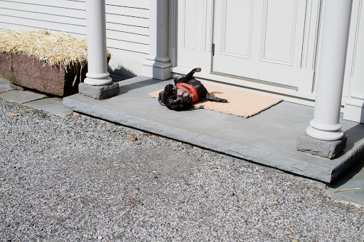 My back is so itchy, but nothing that a rough door mat can't cure.
