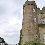 DSC_7460-2.jpg