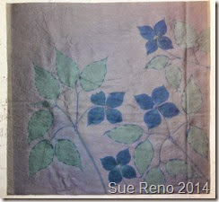 Kousa Dogwood, a work in progress by Sue Reno, Image 3