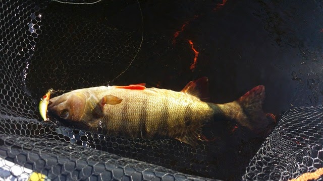 [20140725_143716%2520%25281%2529%255B4%255D.jpg]