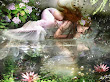 Reflected In A Magic Lake