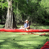 Two OClock Bayou Paddle July 14, 2012 - IMG_0025.JPG