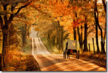otoño amish otoño amish