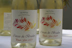 C�teau du Braden