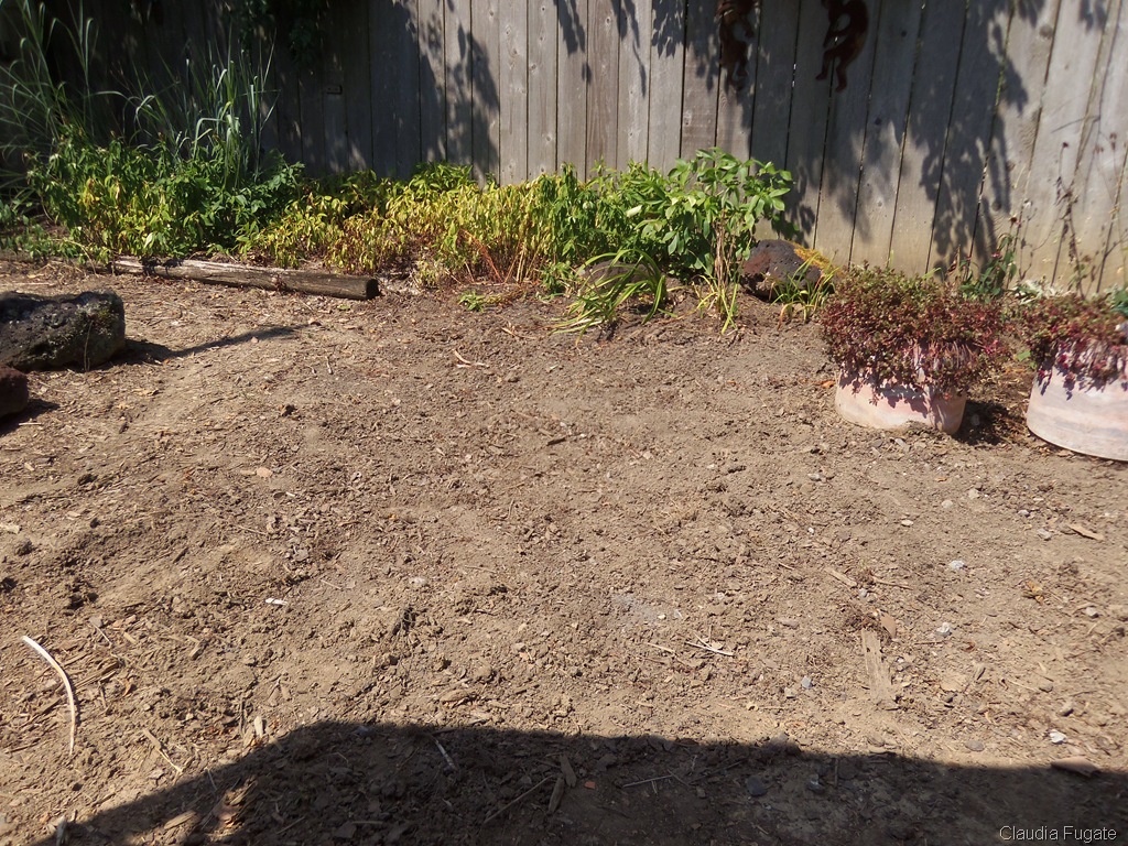 [100_0956%255B7%255D.jpg]