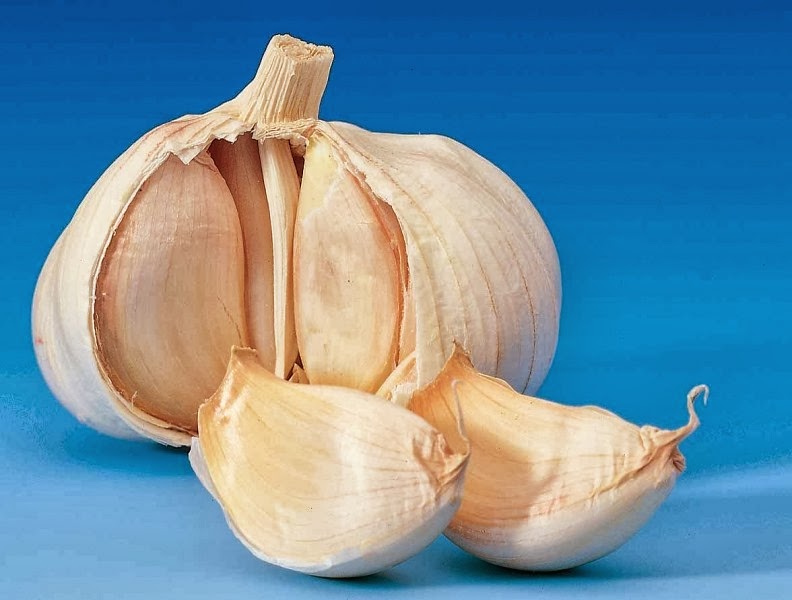 [Bio-Garlic12%255B4%255D.jpg]