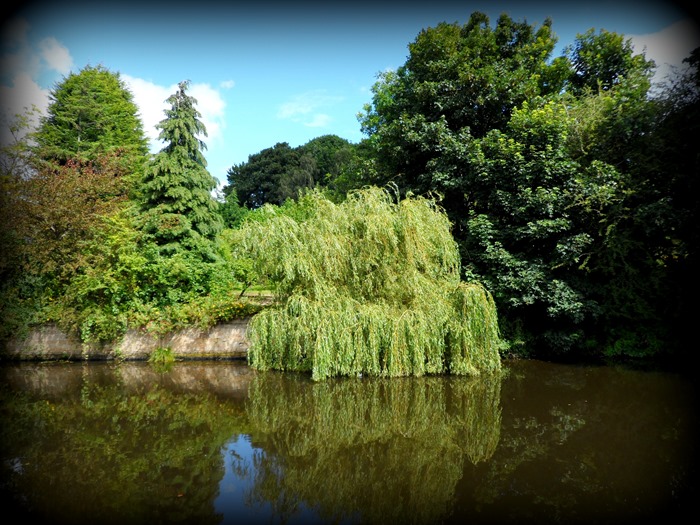 Reflections on the Canal