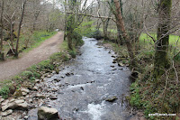 IMG_6005.JPG Photo