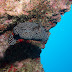 P6093844