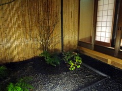 DSC00017 DSC00017