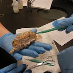 brain_in_palm.JPG