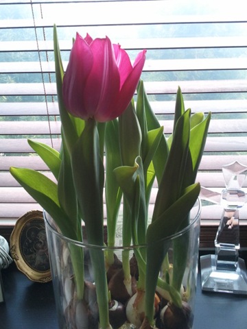 [2012-03-20%252010.26.22%255B3%255D.jpg]