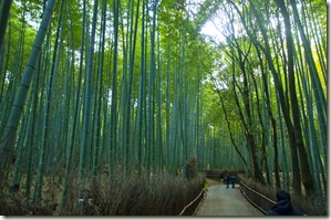 DSC_0410_1 DSC_0410_1