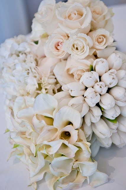 [Danielle_Justin_wedding061-birch-blo%255B1%255D.jpg]