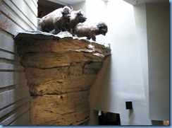 1091 Alberta Hwy 785 West - Head-Smashed-In Buffalo Jump Interpretive Centre 1091 Alberta Hwy 785 West - Head-Smashed-In Buffalo Jump Interpretive Centre