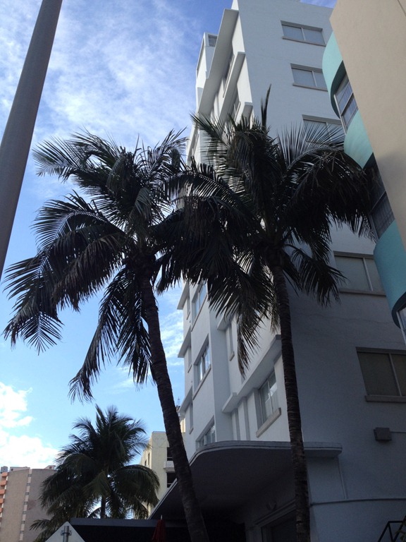 [miami%2520184%255B3%255D.jpg]