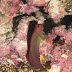P7285797