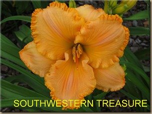 SOUTHWESTERN_TREASURE_f SOUTHWESTERN_TREASURE_f