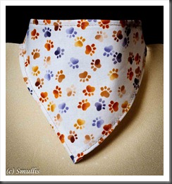 DogBandana110711-2