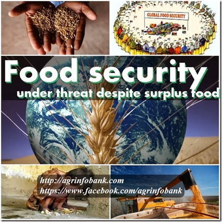 Food security under threat despite surplus food
