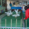 hokkaido_603.jpg