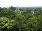 Ruinas de Tikal