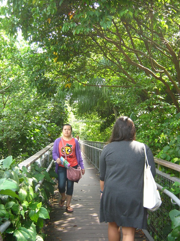 [IMG_11313.jpg]